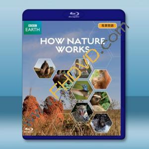  BBC 大自然法則/自然的運作 How Nature Works  藍光影片25G