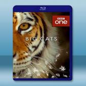  大貓 Big Cats (2018)  藍光影片25G