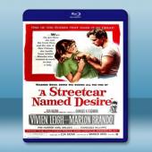  慾望街車 A Streetcar Named Desire [1951] 藍光25G