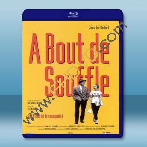  斷了氣 Breathless/A bout de souffle (1960) 藍光25G