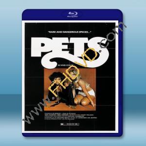  禁女/寵物 Pets (1974) 藍光25G