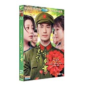  你遲到的許多年 5DVD