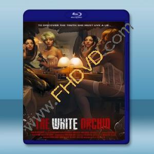  白蘭 The White Orchid (2018) 藍光25G