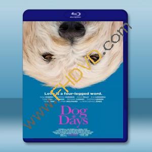  與狗狗一起生活 Dog Days (2018) 藍光25G