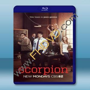  天蠍 Scorpion 第1季 【2碟】 藍光25G