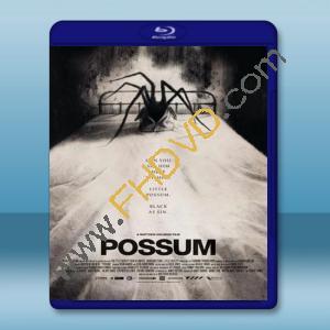  負鼠 Possum 【2018】 藍光25G