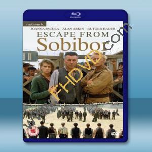  逃离索比堡 Escape from Sobibor (1987) 藍光25G