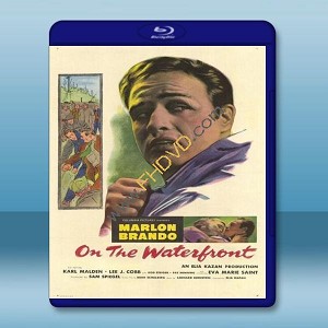 岸上風雲 On the Waterfront 【1954】 藍光25G