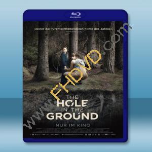  嬰魂不散 The Hole in the Ground (2019) 藍光25G