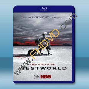  西方極樂園 Westworld 第2季 【3碟】 藍光25G