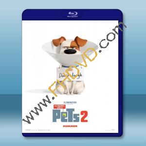  寵物當家2 The Secret Life of Pets 2 (2018) 藍光25G