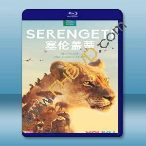  塞倫蓋蒂 Serengeti (2碟) 【2019】 藍光25G