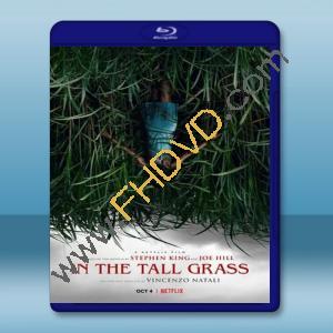  高草魅聲 In the Tall Grass (2019) 藍光25G