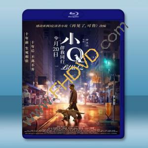  小Q (2019) 藍光25G