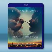  撿來的孩子 Adopt a Highway (2019) 藍光25G