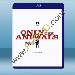  謎夜拼圖 Only The Animals (2019) 藍光25G