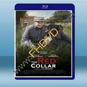  紅項圈 Le collier rouge (2018) 藍光25G