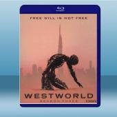  西方極樂園 Westworld 第3季 【3碟】 藍光25G