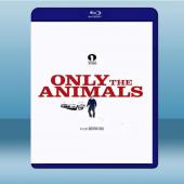  謎夜拼圖 Only The Animals (2019) 藍光25G