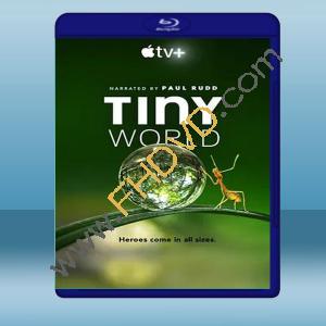  小小世界 Tiny World (1碟) 藍光25G