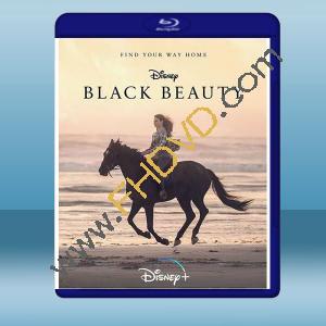  黑神駒 Black Beauty (2020) 藍光25G