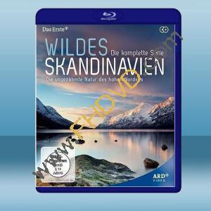  野性的斯堪的納維亞 Wildes Skandinavien (2碟) (2011) 藍光25G