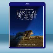 夜色中的地球 Earth at Night in Col...