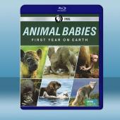 萌寶出生第一年 Animal Babies: First...