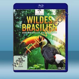  狂野巴西 Wild Brazil (2碟) (2014) 藍光25G