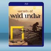 國家地理：狂野印度 Secrets of Wild In...