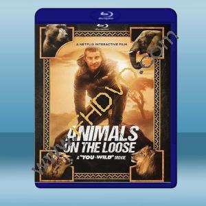  你的荒野求生電影版：出逃的野獸 Animals on the Loose: A You vs. Wild Movie (2021) 藍光25G