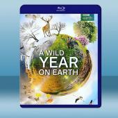 狂野地球 A Wild Year on Earth (2...
