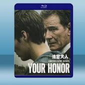 法官大人 Your Honor (2碟) (2020) ...