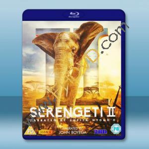 塞倫蓋蒂 第二季 Serengeti Season 2 (2021) 2碟 藍光25G