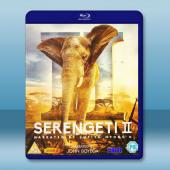塞倫蓋蒂 第二季 Serengeti Season 2 ...