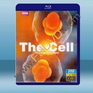  細胞 The Cell (2碟) (2009) 藍光25G