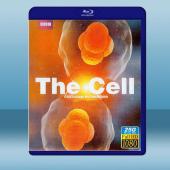 細胞 The Cell (2碟) (2009) 藍光25...