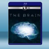  深入大腦 The Brain with David Eagleman (2碟) (2015) 藍光25G