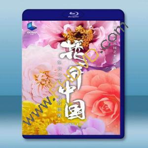  花開中國 (2020)藍光25G