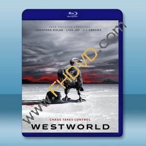  西部世界/西方極樂園 第二季 Westworld S2(2018)藍光25G 3碟