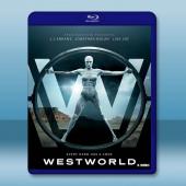 西部世界/西方極樂園 第一季 Westworld S1(...