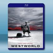 西部世界/西方極樂園 第二季 Westworld S2(...