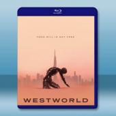 西部世界/西方極樂園 第三季 Westworld S3(...