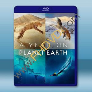  地球上的一年 A Year on Planet Earth(2022)藍光25G 2碟