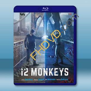  十二猴子 第1-2季 12 Monkeys S1-S2 藍光25G 4碟L