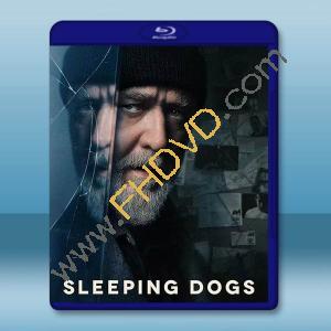 超危險警探/沉睡烈犬 Sleeping Dogs(2024)藍光25G