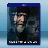 超危險警探/沉睡烈犬 Sleeping Dogs(202...