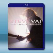 ～吉他之神～史帝夫.范：野獸冒險樂園 Steve Vai...