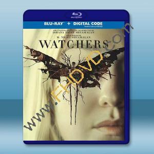 窺探者/神秘窺視 The Watchers(2024)藍光25G		 