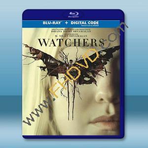 窺探者/神秘窺視 The Watchers(2024)藍光25G		 